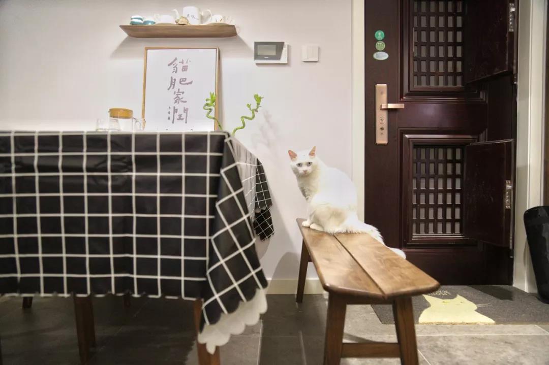 90后夫妻買(mǎi)下92㎡：兩人一貓半院子，“偷”得浮生半日閑！