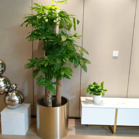 墻紙里有甲醛嗎？如何去除室內甲醛呢？